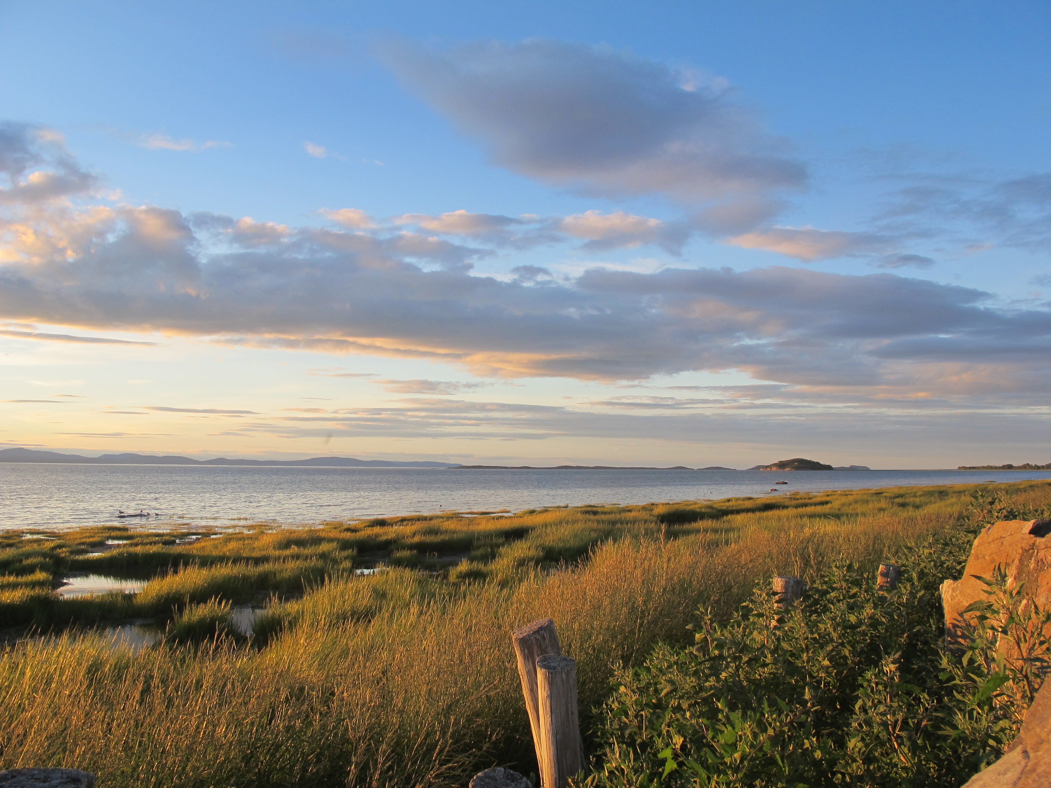 Couchant sur la batture Kamouraska
