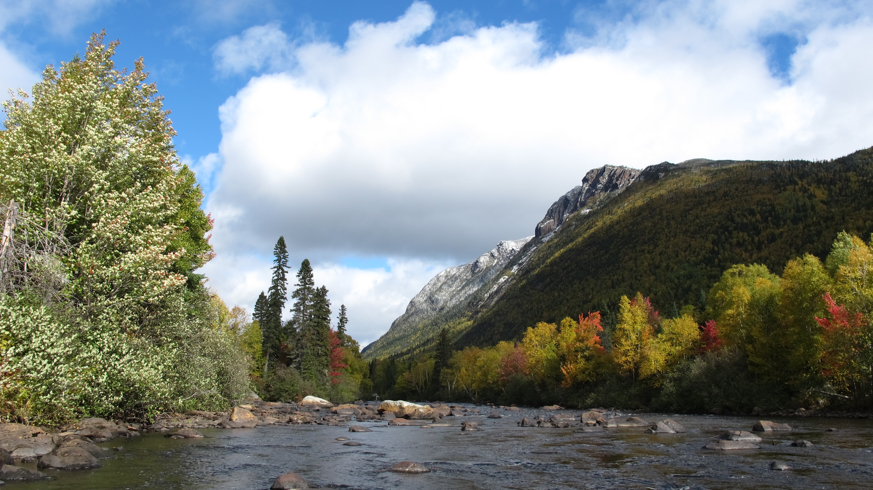 Hautes gorges riviére Malbais automne