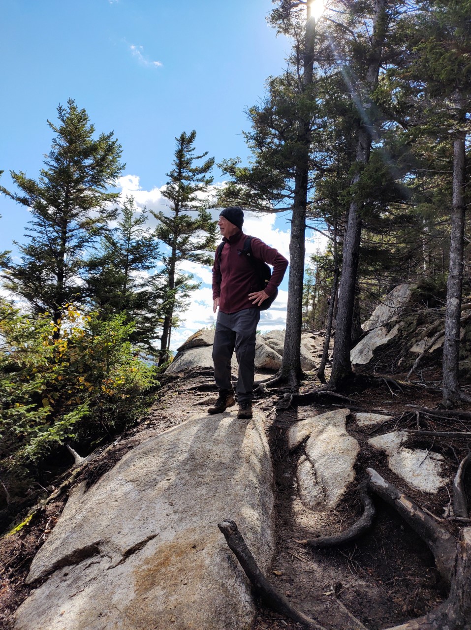 Un désir nommé découverte